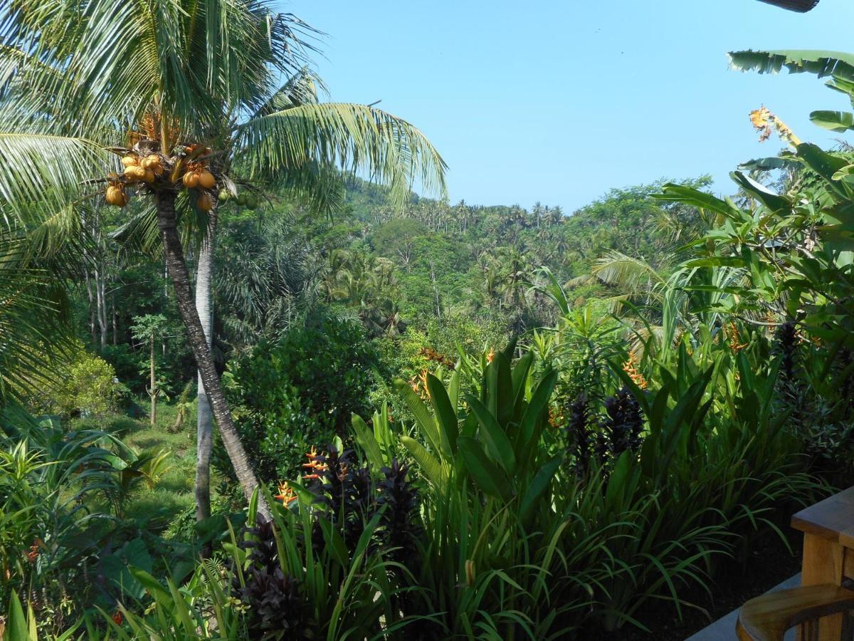 Cegeng Lestari Guesthouse Sidemen  Exterior photo